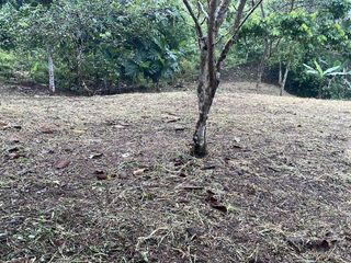 Foto 2 de Vendo Terreno 1000 M2 en Pintag.