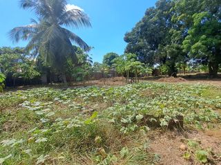 Foto 9 de Excelente Inversión-Venta De Terreno De 2,839.61, Con Titulo De Propiedad, Av. La Marina- Pucallpa.