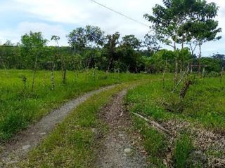 Foto 1 de DE OPORTUNIDAD LINDA FINCA EN SAN MIGUEL DE LOS BANCOS