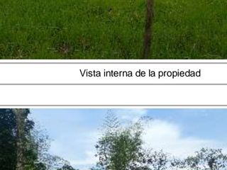 Foto 5 de DE OPORTUNIDAD LINDA FINCA EN SAN MIGUEL DE LOS BANCOS