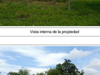 Foto 3 de DE OPORTUNIDAD LINDA FINCA EN SAN MIGUEL DE LOS BANCOS