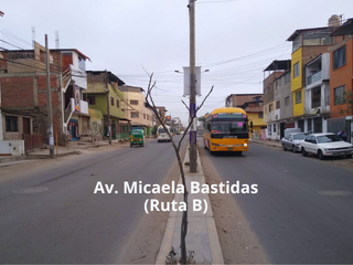 Casa como Terreno en Avenida Comercial en Villa El Salvador