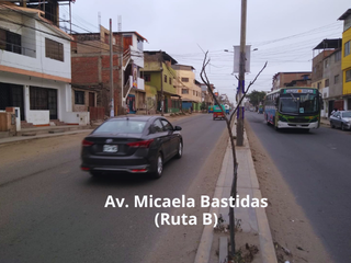 Foto 3 de Casa como Terreno en Avenida Comercial en Villa El Salvador