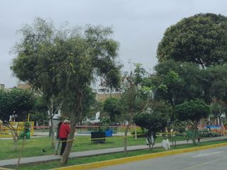 Se alquila amplio departamento en Urbanización Covida - los Olivos!!