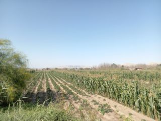 Ocasion Venta De Terreno Agricola De 2000 M2 Sector Casablanca Cachiche