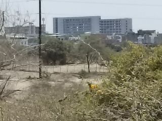 Foto 9 de VENTA DE TERRENO DE 11 HAS, PIURA, URB. LOS EJIDOS, ZONA EXPANSION URBANA