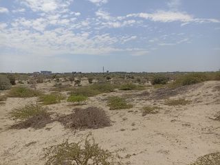 Foto 3 de VENTA DE TERRENO DE 11 HAS, PIURA, URB. LOS EJIDOS, ZONA EXPANSION URBANA