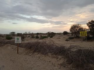 Foto 12 de VENTA DE TERRENO DE 11 HAS, PIURA, URB. LOS EJIDOS, ZONA EXPANSION URBANA