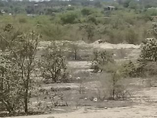 Foto 8 de VENTA DE TERRENO DE 11 HAS, PIURA, URB. LOS EJIDOS, ZONA EXPANSION URBANA
