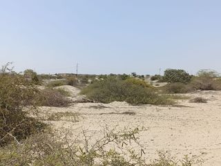 Foto 6 de VENTA DE TERRENO DE 11 HAS, PIURA, URB. LOS EJIDOS, ZONA EXPANSION URBANA