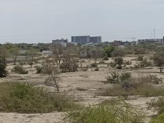 Foto 5 de VENTA DE TERRENO DE 11 HAS, PIURA, URB. LOS EJIDOS, ZONA EXPANSION URBANA