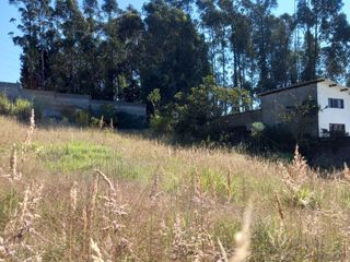 Foto 10 de VENTA DE CASA, Valle de los chillos, CONOCOTO, MONSERRAT