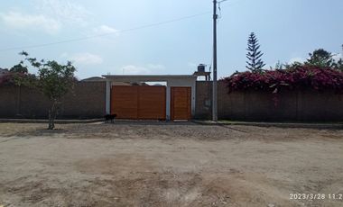 similar_image