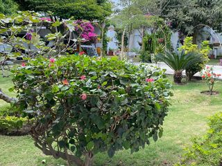 Foto 10 de Alquilo departamento en Manta en urnbanizacion privada cerca de la via aereopuerto