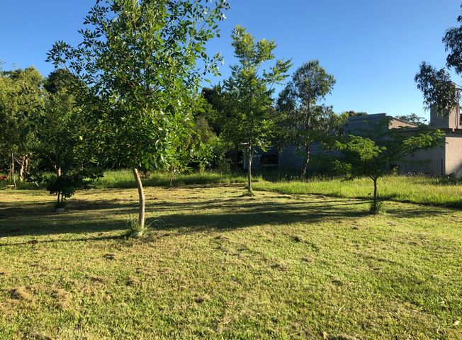 place photo 18