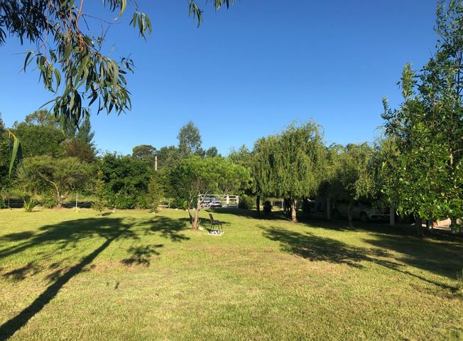 place photo 16
