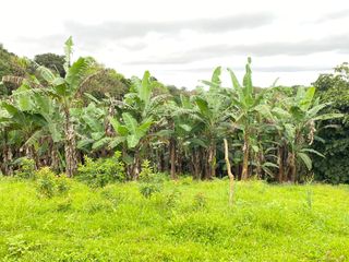 Lote Rural en sector Los Ceibos - Isla Isabela