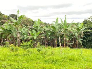 Foto 2 de Lote Rural en sector Los Ceibos - Isla Isabela