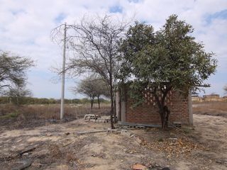 Foto 13 de VENTA DE DOS TERRENO – CARRETERA  PIURA -SULLANA - PIURA.