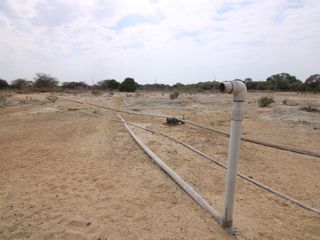 Foto 11 de VENTA DE DOS TERRENO – CARRETERA  PIURA -SULLANA - PIURA.