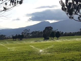 Foto 7 de Terreno en Venta en San Agustin de Callo