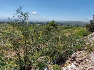 Foto 6 de EN VENTA LINDO TERRENO AGRÍCOLA EN PAUCARPATA CON ZONIFICACIÓN ZR