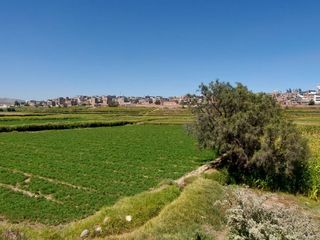 Foto 4 de EN VENTA LINDO TERRENO AGRÍCOLA EN PAUCARPATA CON ZONIFICACIÓN ZR