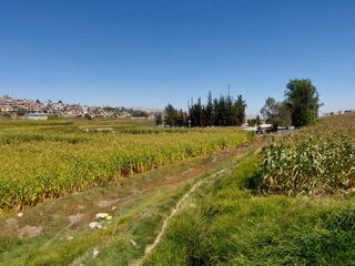 Foto 2 de EN VENTA LINDO TERRENO AGRÍCOLA EN PAUCARPATA CON ZONIFICACIÓN ZR
