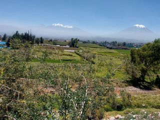 Foto 8 de EN VENTA LINDO TERRENO AGRÍCOLA EN PAUCARPATA CON ZONIFICACIÓN ZR