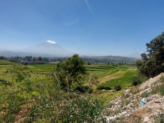 Foto 10 de EN VENTA LINDO TERRENO AGRÍCOLA EN PAUCARPATA CON ZONIFICACIÓN ZR