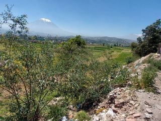 Foto 7 de EN VENTA LINDO TERRENO AGRÍCOLA EN PAUCARPATA CON ZONIFICACIÓN ZR
