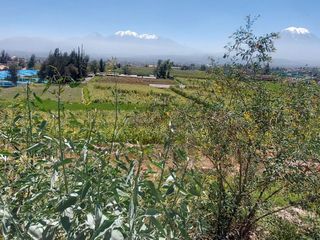 Foto 5 de EN VENTA LINDO TERRENO AGRÍCOLA EN PAUCARPATA CON ZONIFICACIÓN ZR
