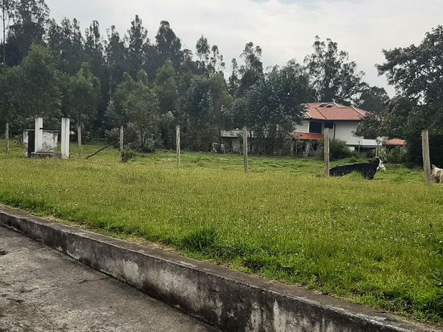 TERRENO EN VENTA CONOCOTO SECTOR COLEGIO LA SALLE