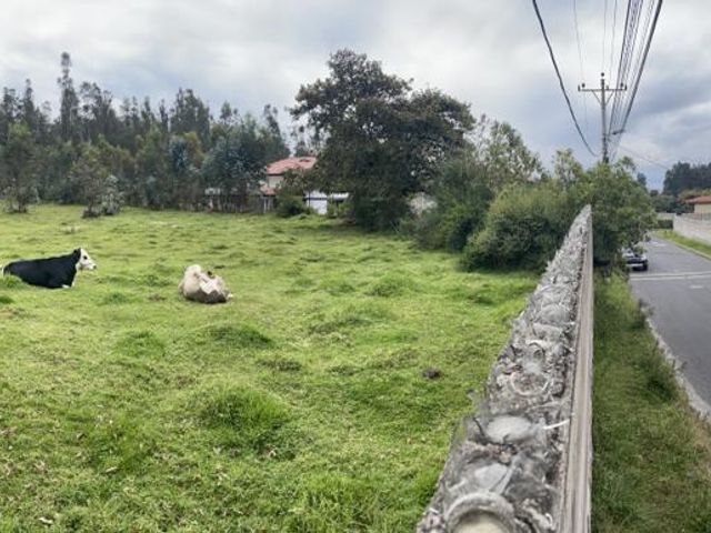 TERRENO EN VENTA CONOCOTO SECTOR COLEGIO LA SALLE
