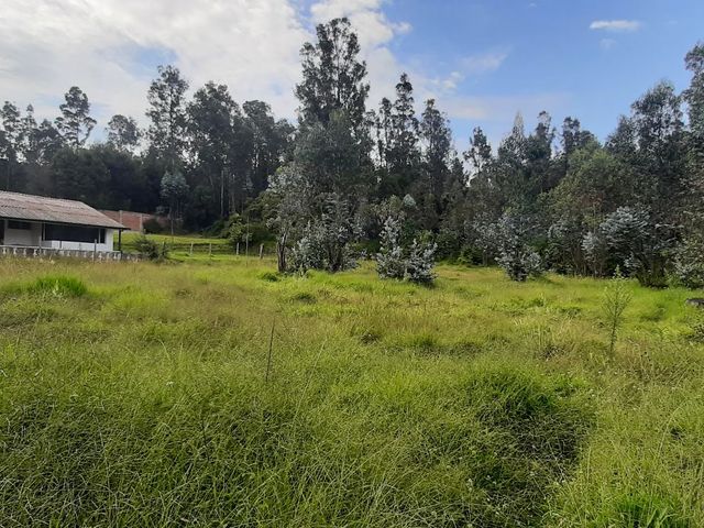 TERRENO EN VENTA CONOCOTO SECTOR COLEGIO LA SALLE