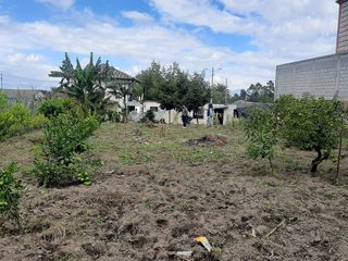 Foto 7 de CHECA, vendo terreno 800m, con casa y local comercial, servicios básicos