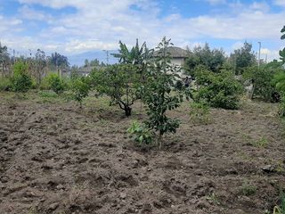 Foto 4 de CHECA, vendo terreno 800m, con casa y local comercial, servicios básicos