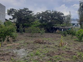 Foto 9 de CHECA, vendo terreno 800m, con casa y local comercial, servicios básicos