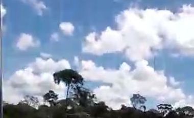similar_image
