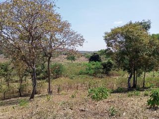 Venta de Hacienda 15,66 hectáreas - Isidro Ayora