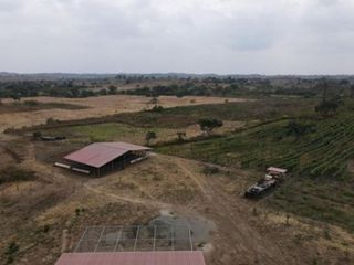 Venta de Hacienda 15,66 hectáreas - Isidro Ayora