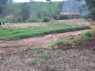 Espectacular Lote plano, vista, vereda samaria , rionegro carmen  1250mts