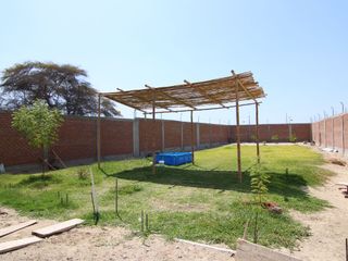 Foto 9 de CASA EN VENTA –SEMI - CONSTRUIDA LA MARIPOSA - EJIDOS - PIURA