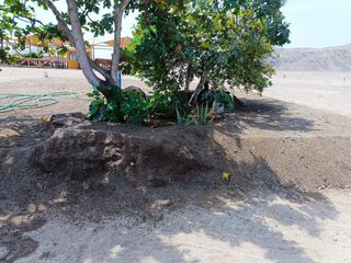 Foto 5 de LOTES N HUARAL DESDE 120 M2