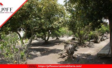 place photo 46