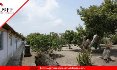 place photo 66