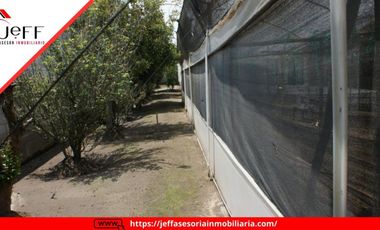 place photo 62