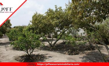 place photo 60