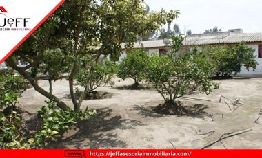 place photo 54