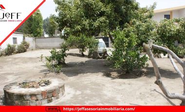 place photo 56